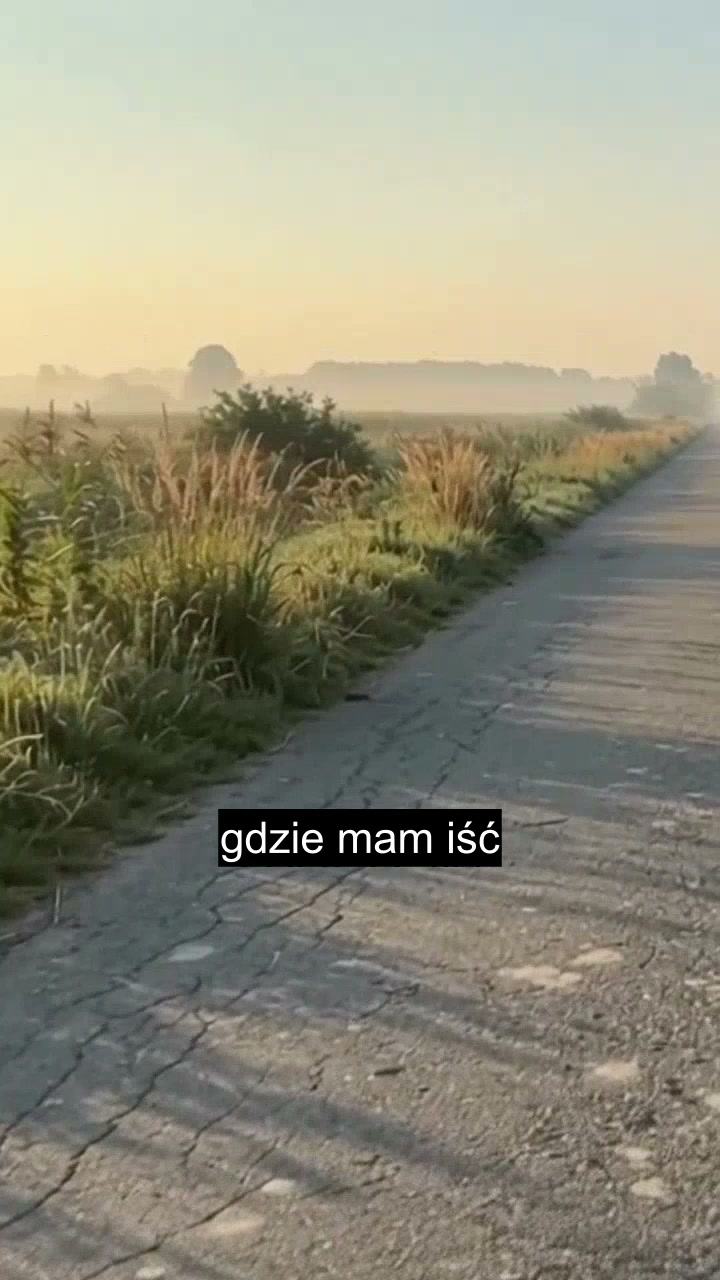 Rytm we mnie